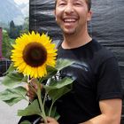 Sonnenblume für DJ BoBo