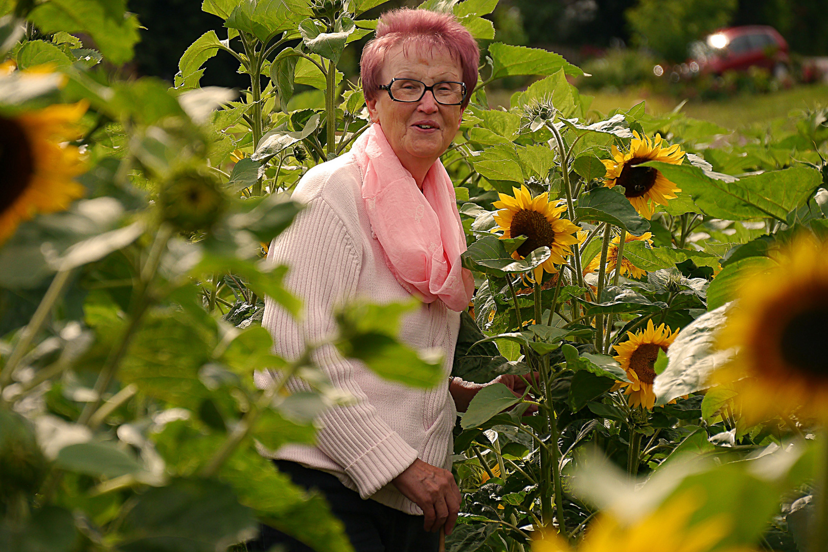 "Sonnenblume Heidemarie!"