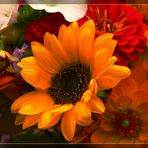 Sonnenblume - herbstlich arrangiert mit Dahlien
