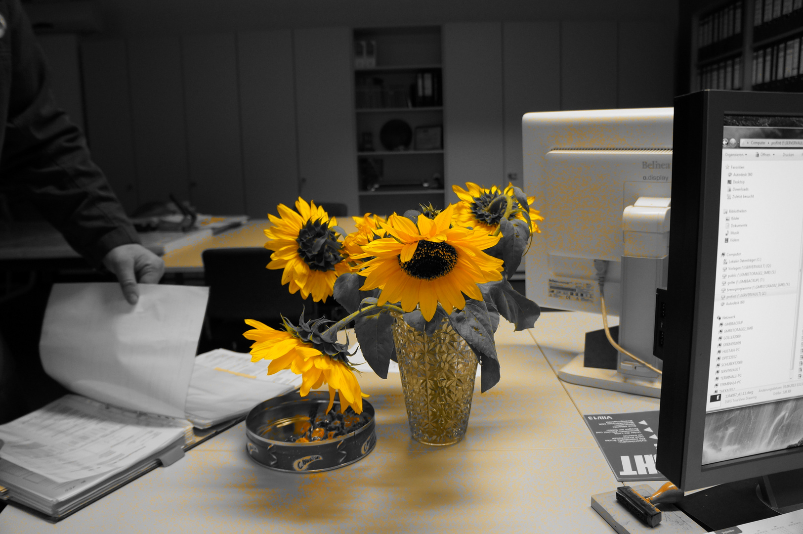 Sonnenblume im Büro