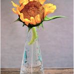 Sonnenblume in der Vase