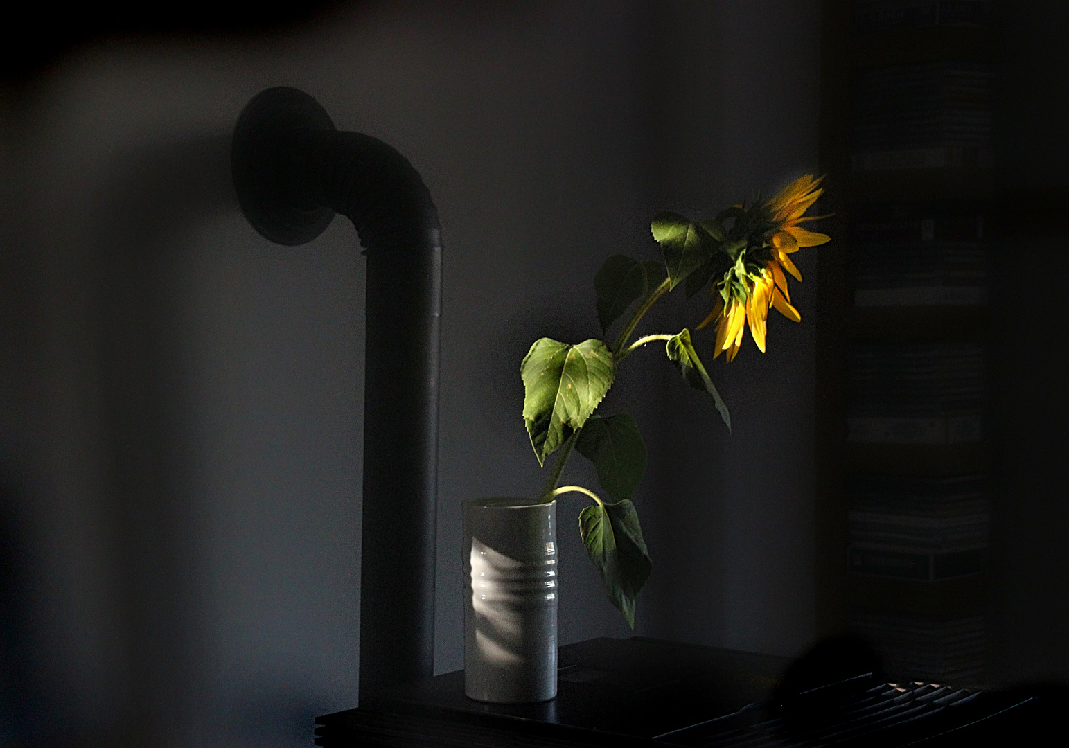 Sonnenblume in der Vase