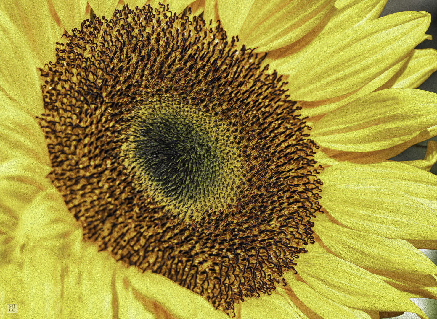 Sonnenblume in Öl