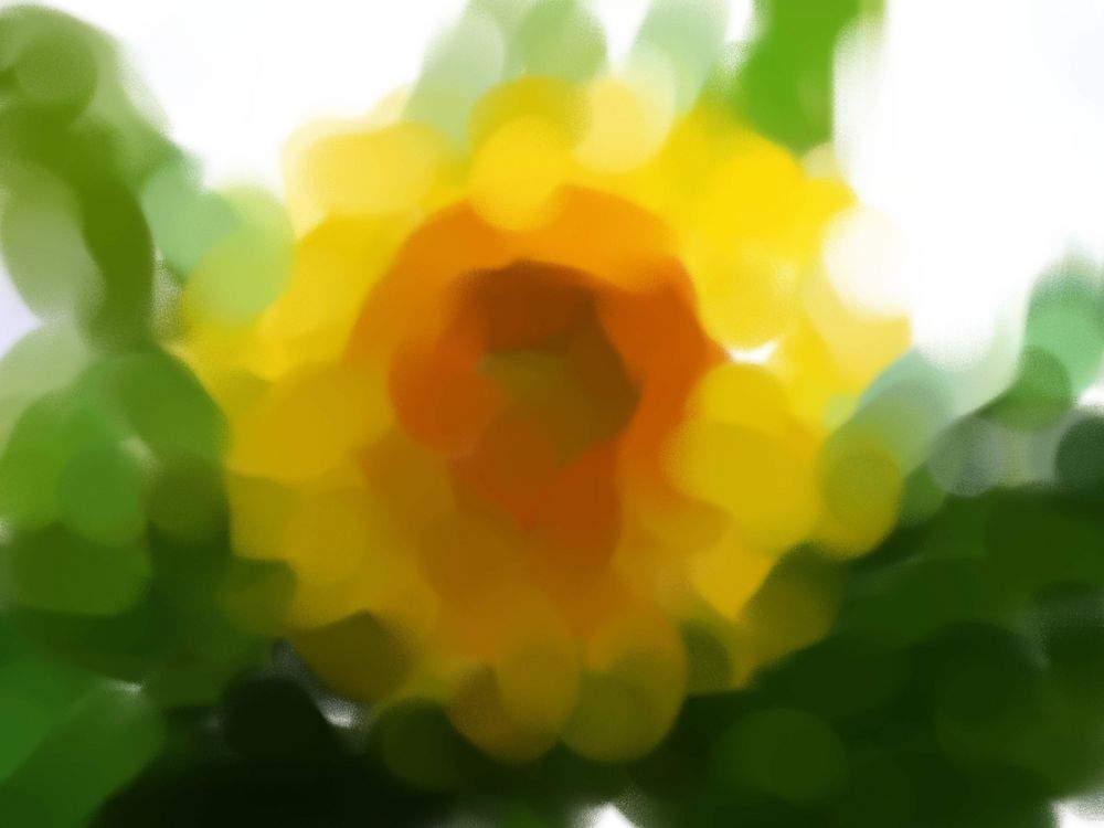 Sonnenblume mal anders