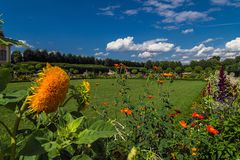 Sonnenblume, Sonnenhut und anderes im Barockgarten Großsedlitz 