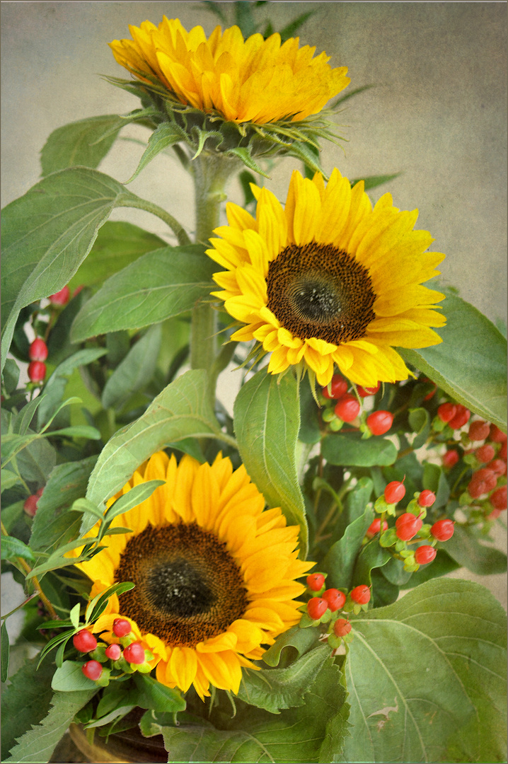 Sonnenblumen