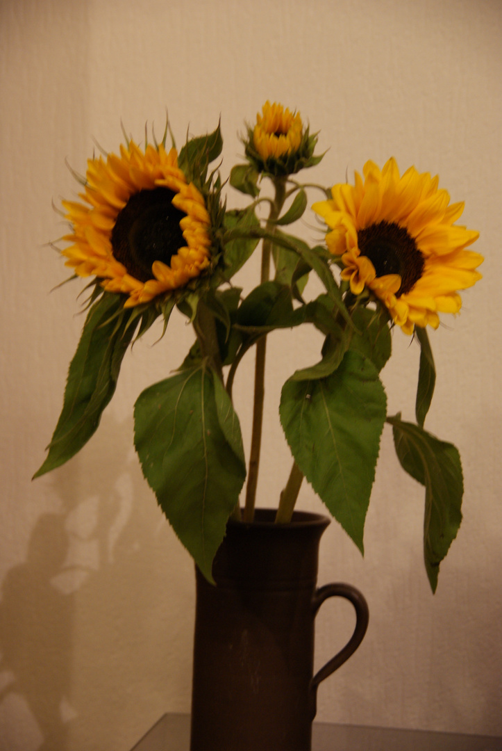 Sonnenblumen