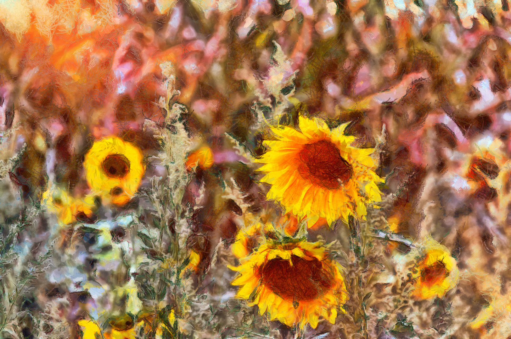 Sonnenblumen 2