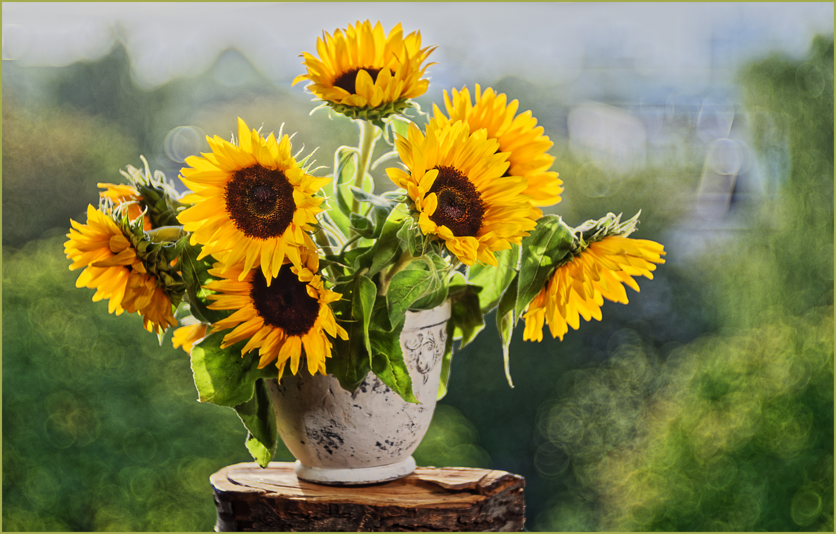 Sonnenblumen 2 Foto & Bild | spezial, sommer, natur Bilder auf