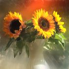 SONNENBLUMEN 