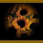 Sonnenblumen