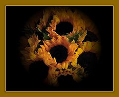 Sonnenblumen