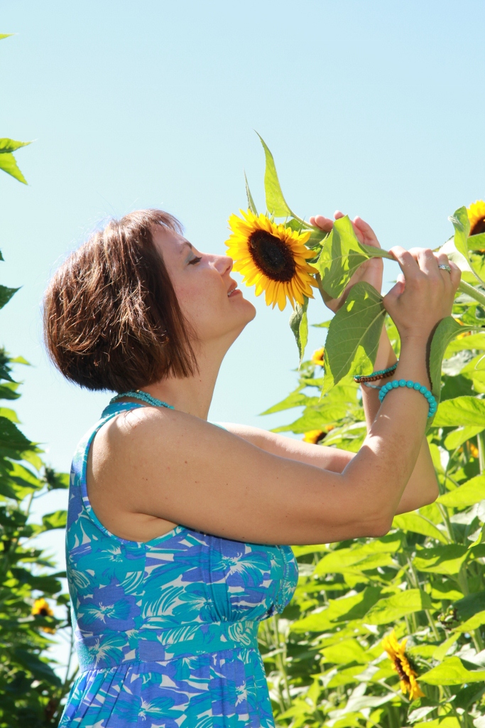 Sonnenblumen