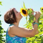 Sonnenblumen