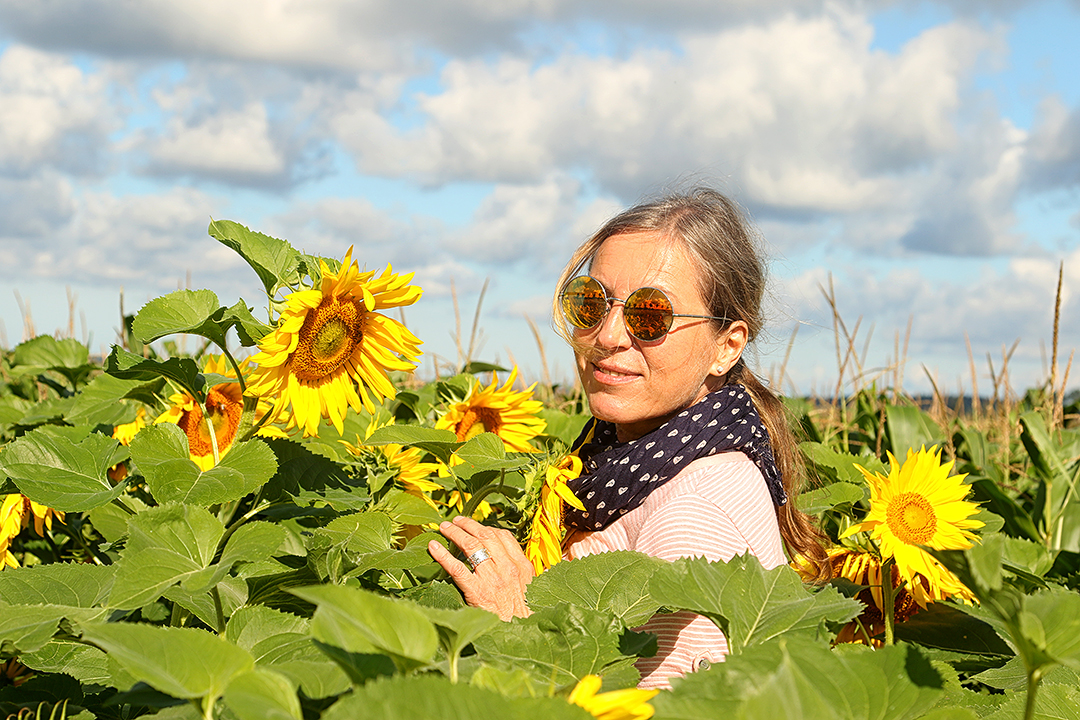 Sonnenblumen