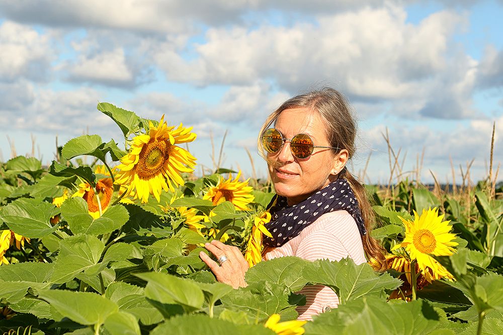 Sonnenblumen