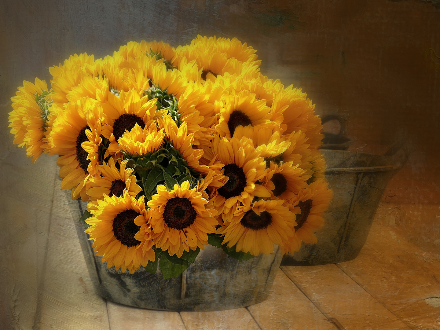 Sonnenblumen...