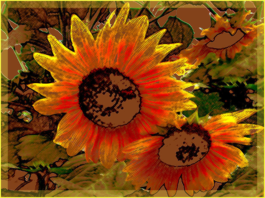 Sonnenblumen