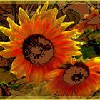 Sonnenblumen