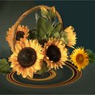 _Sonnenblumen    