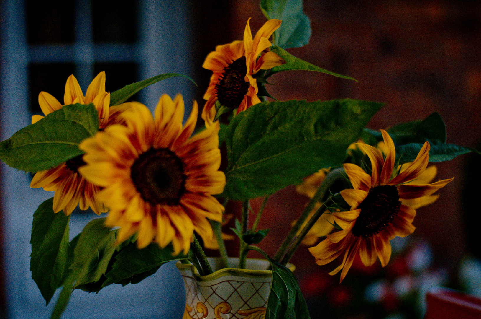 Sonnenblumen