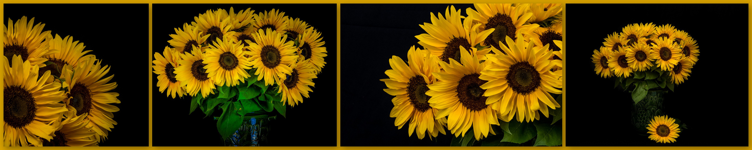 ... sonnenblumen ...