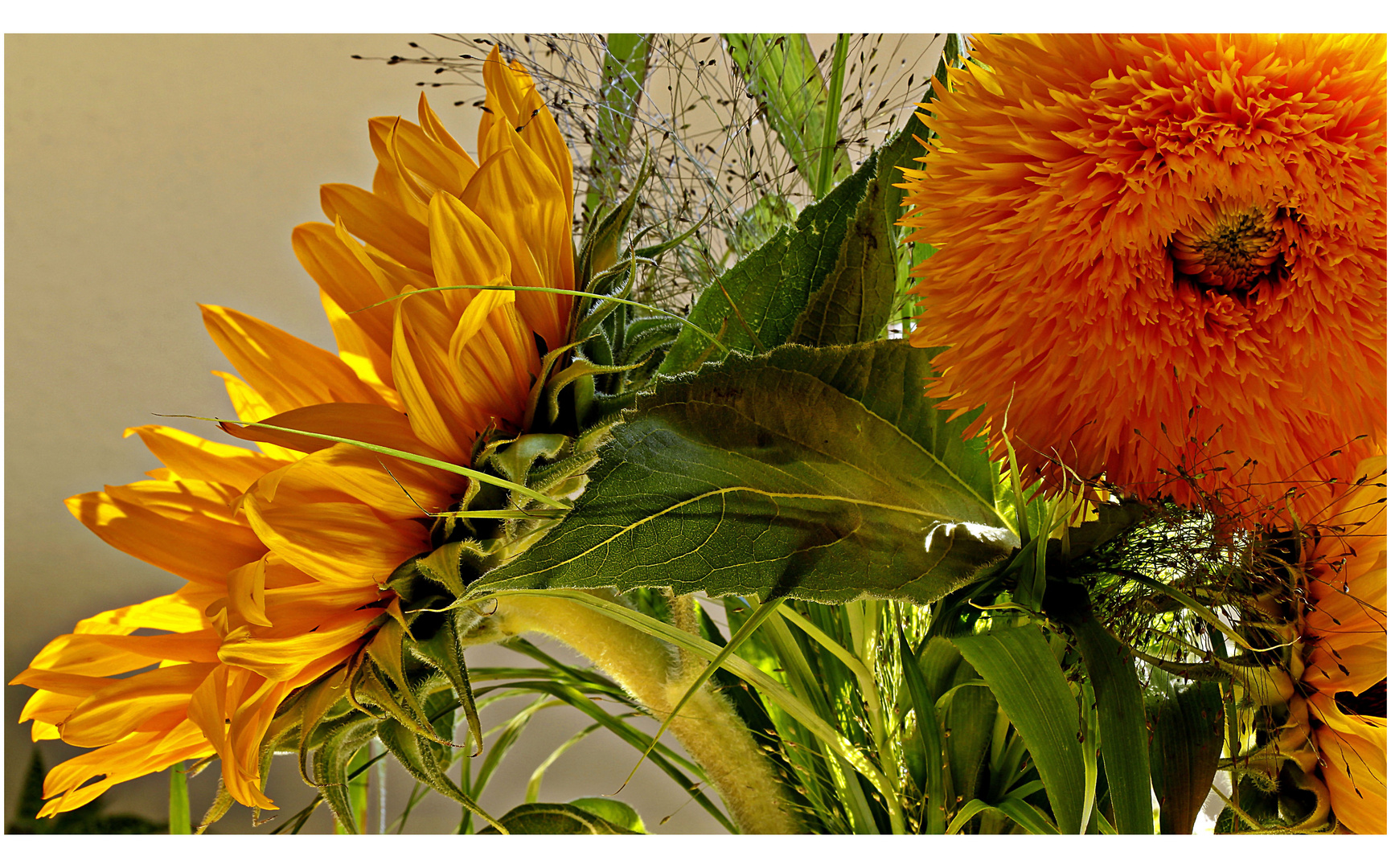 Sonnenblumen für den Mittwoch :-)