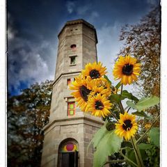 Sonnenblumen im Herbst