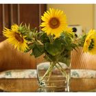 Sonnenblumen in Vase