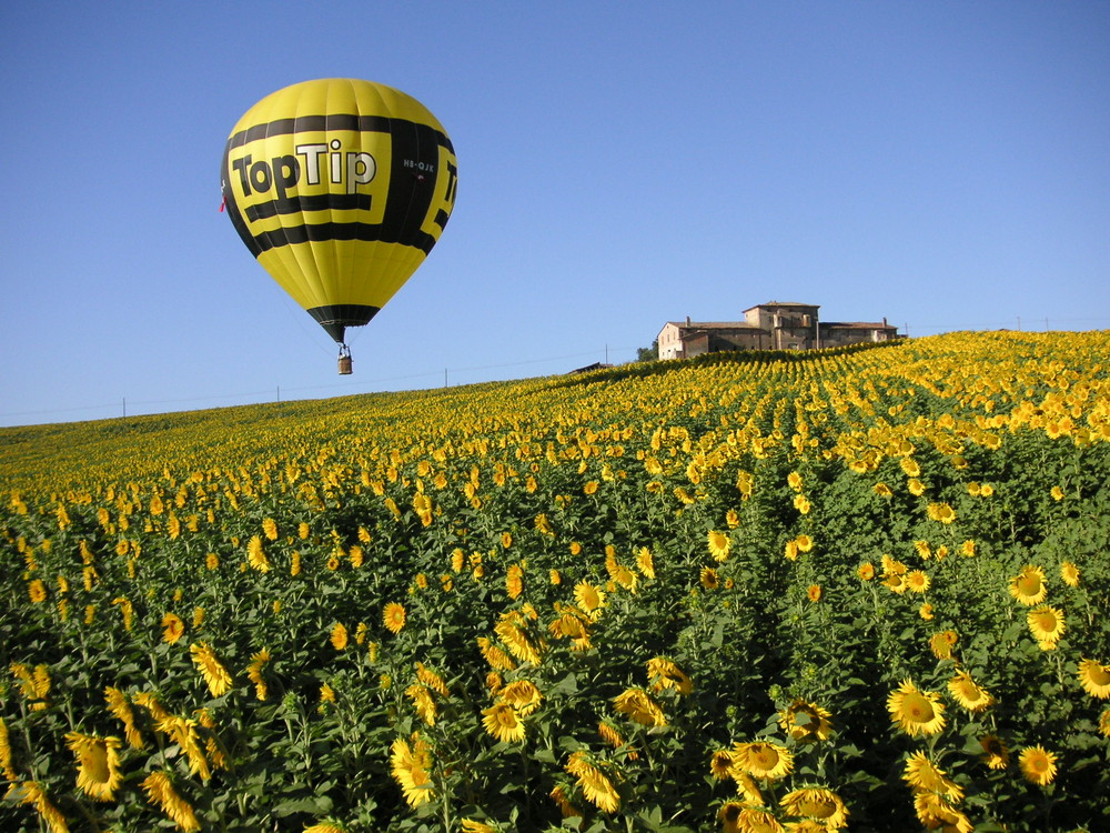 Sonnenblumen und Ballonfahren in Umbrien