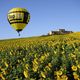 Sonnenblumen und Ballonfahren in Umbrien