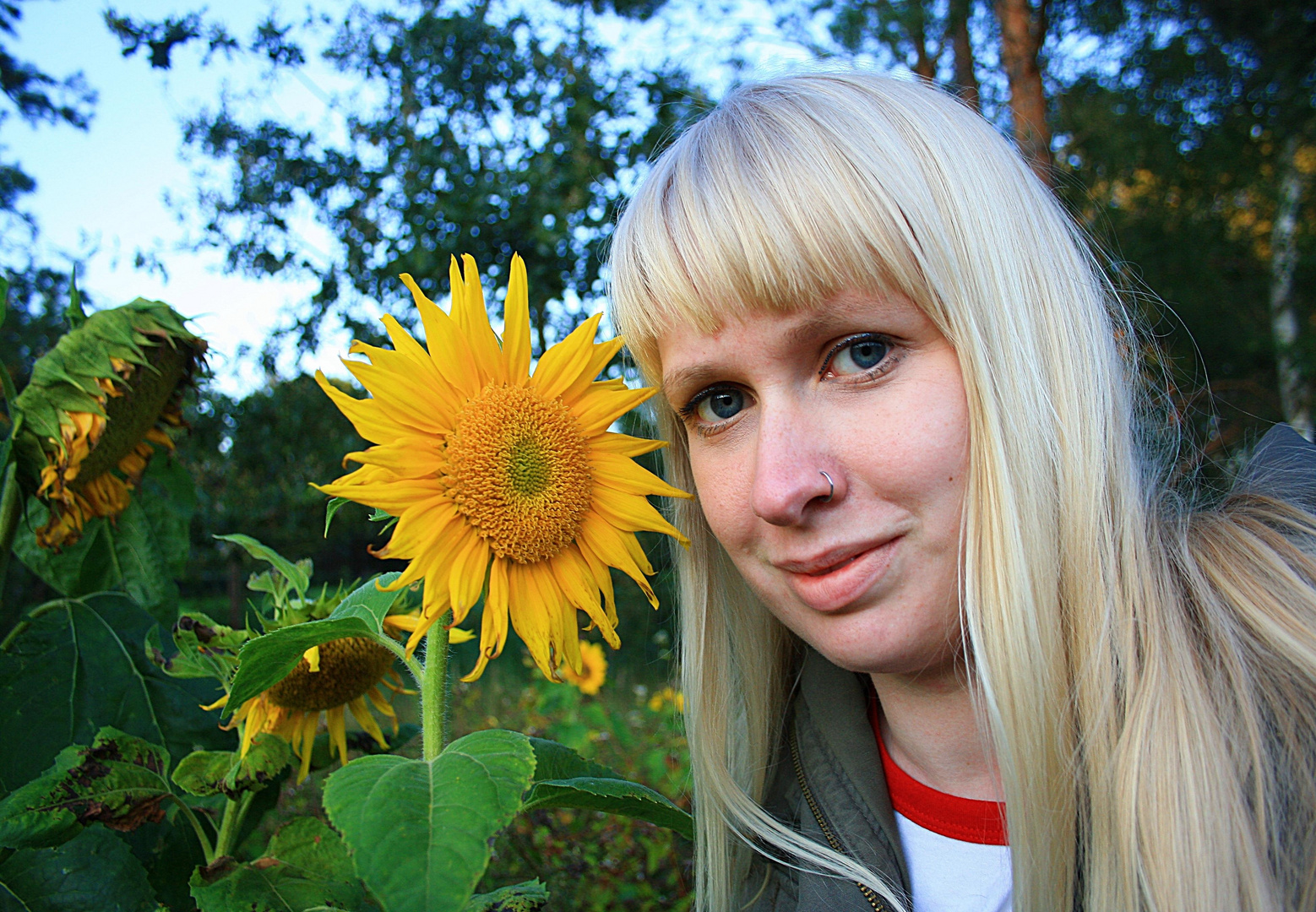 Sonnenblumen [und ich]