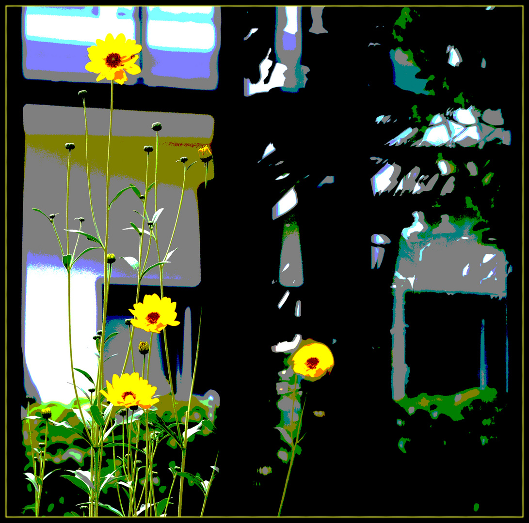 Sonnenblumen und Reflexe 