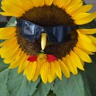 Sonnen(blumen)brille