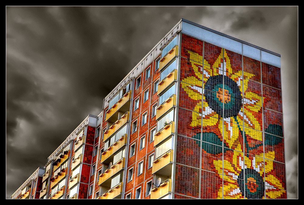 Sonnenblumenhaus in Rostock