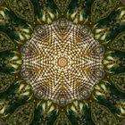 Sonnenblumenkaleidoskop