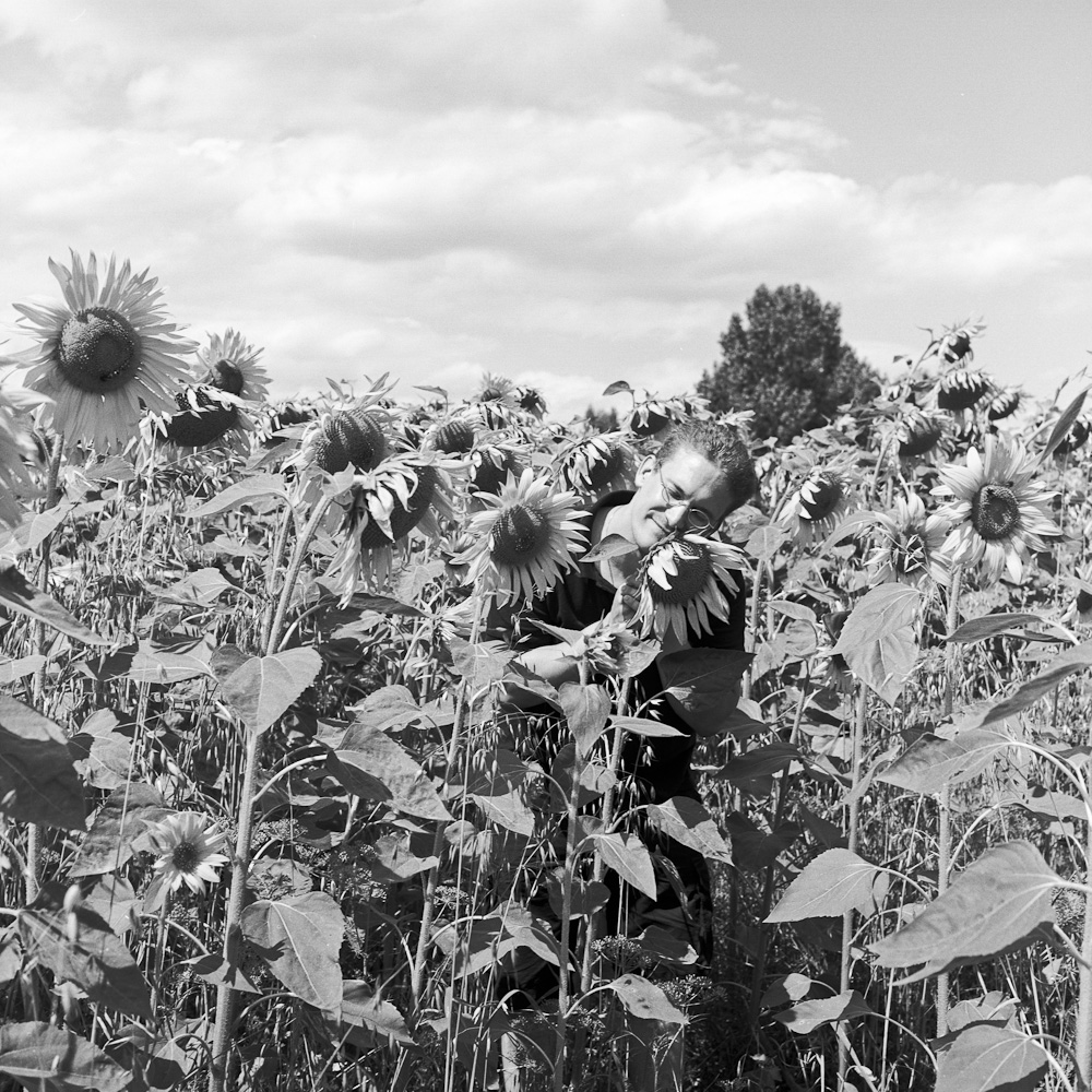 Sonnenblumenkuscheln