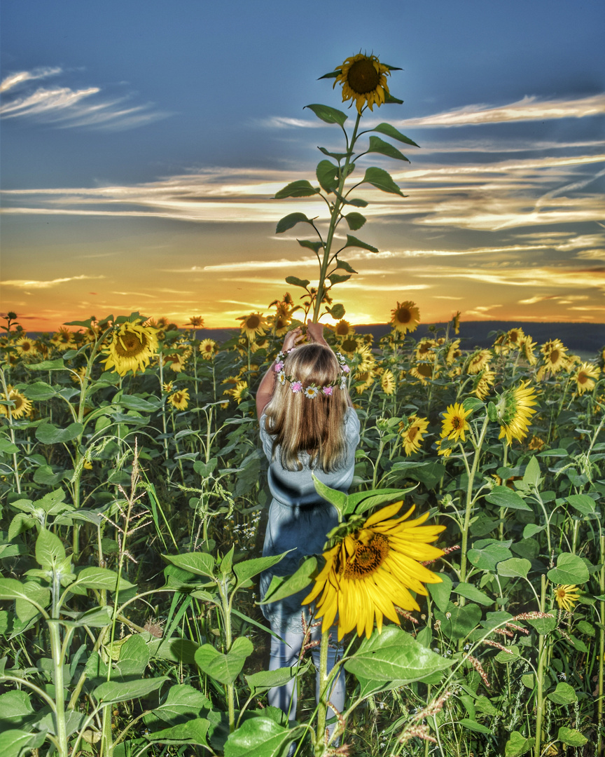 Sonnenblumenmädchen