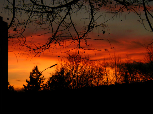 Sonnenbrand