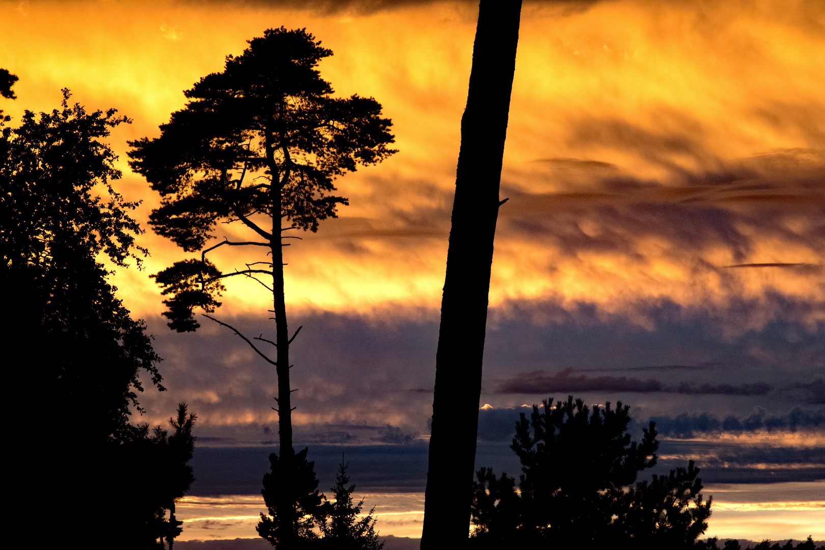 Sonnenbrand