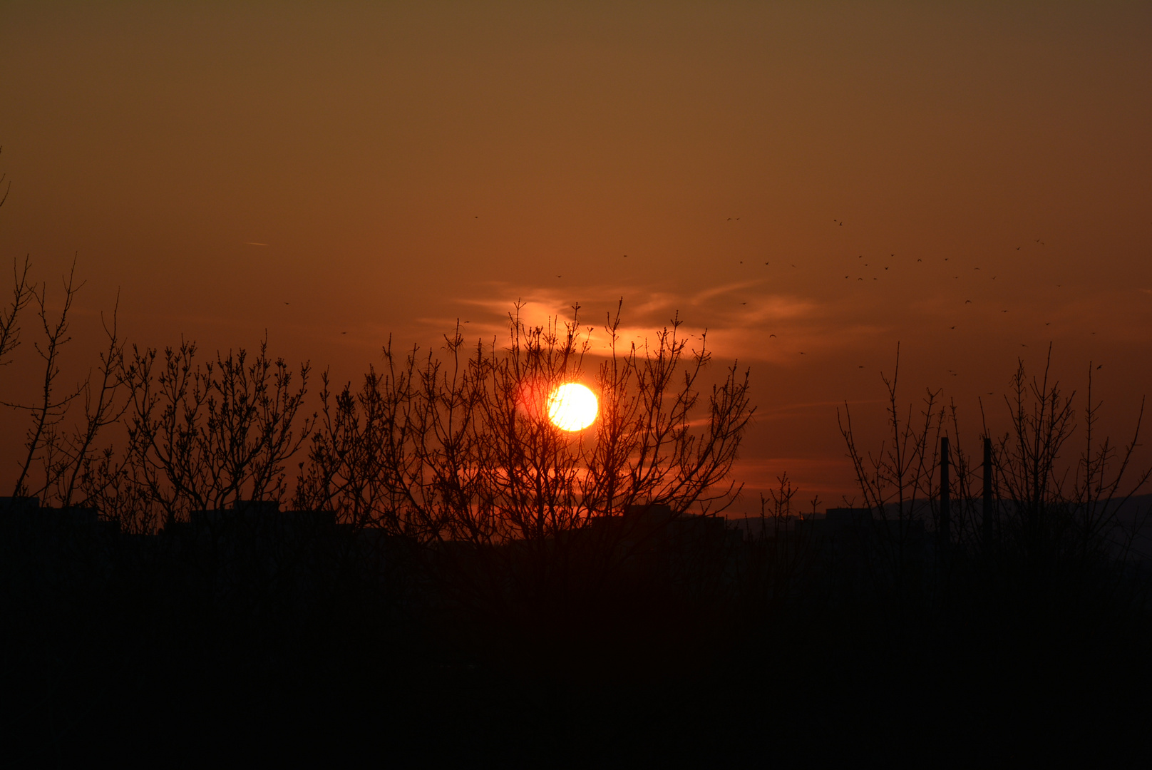 Sonnenbrand