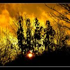 Sonnenbrand im Dezember