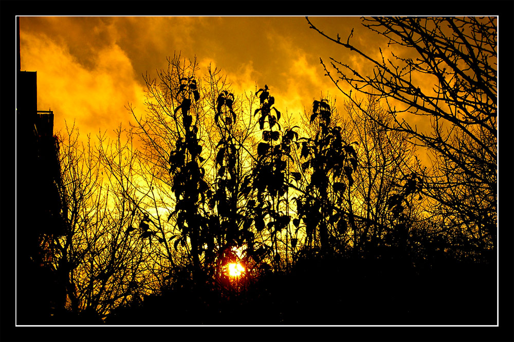 Sonnenbrand im Dezember