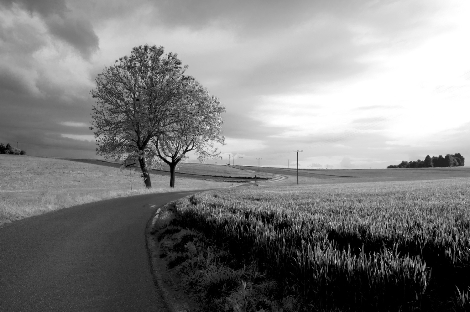 Sonnendurchflutete Gewitterlandschaft in Schwarz-weiss