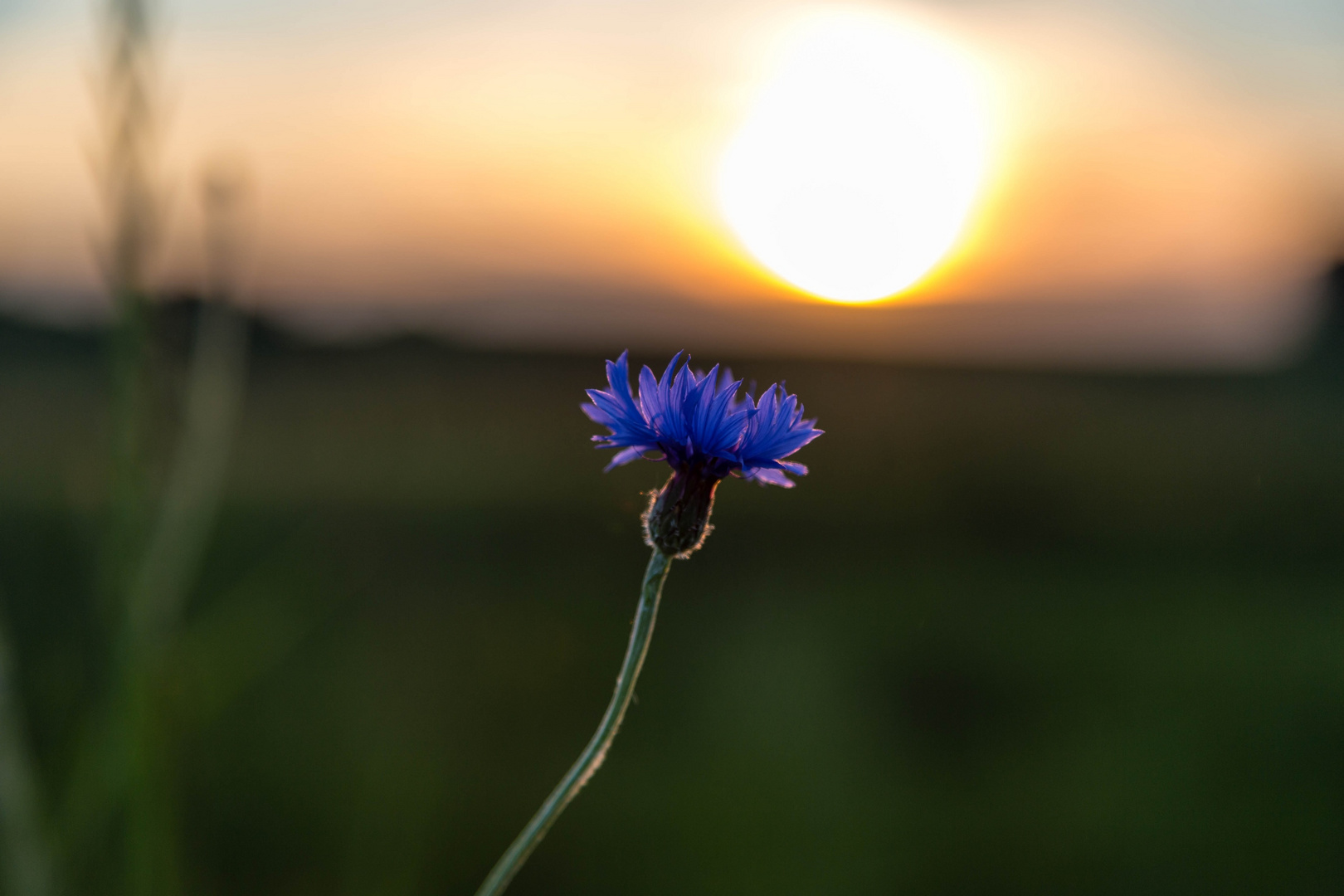 Sonnenenergie