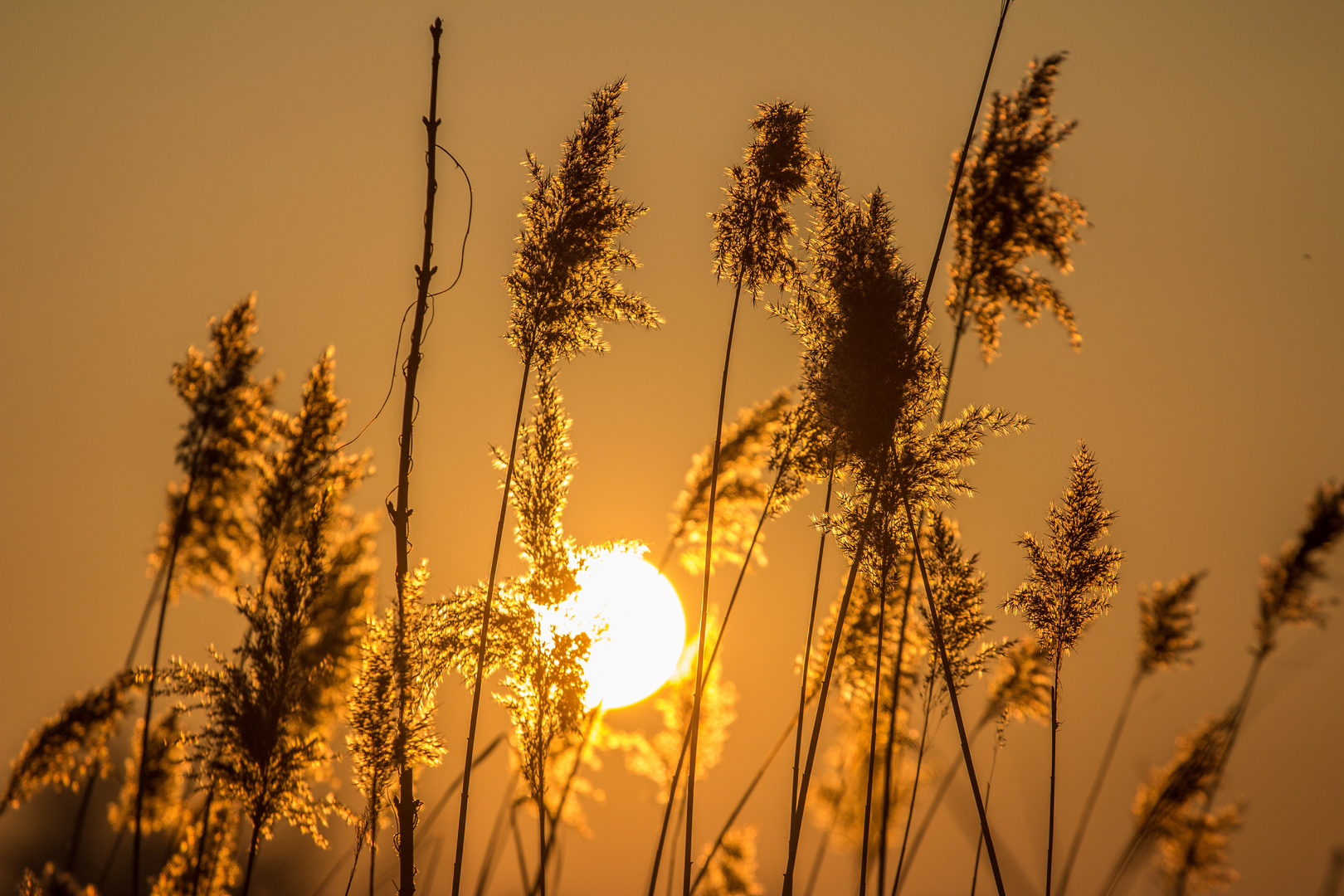 Sonnenenergie