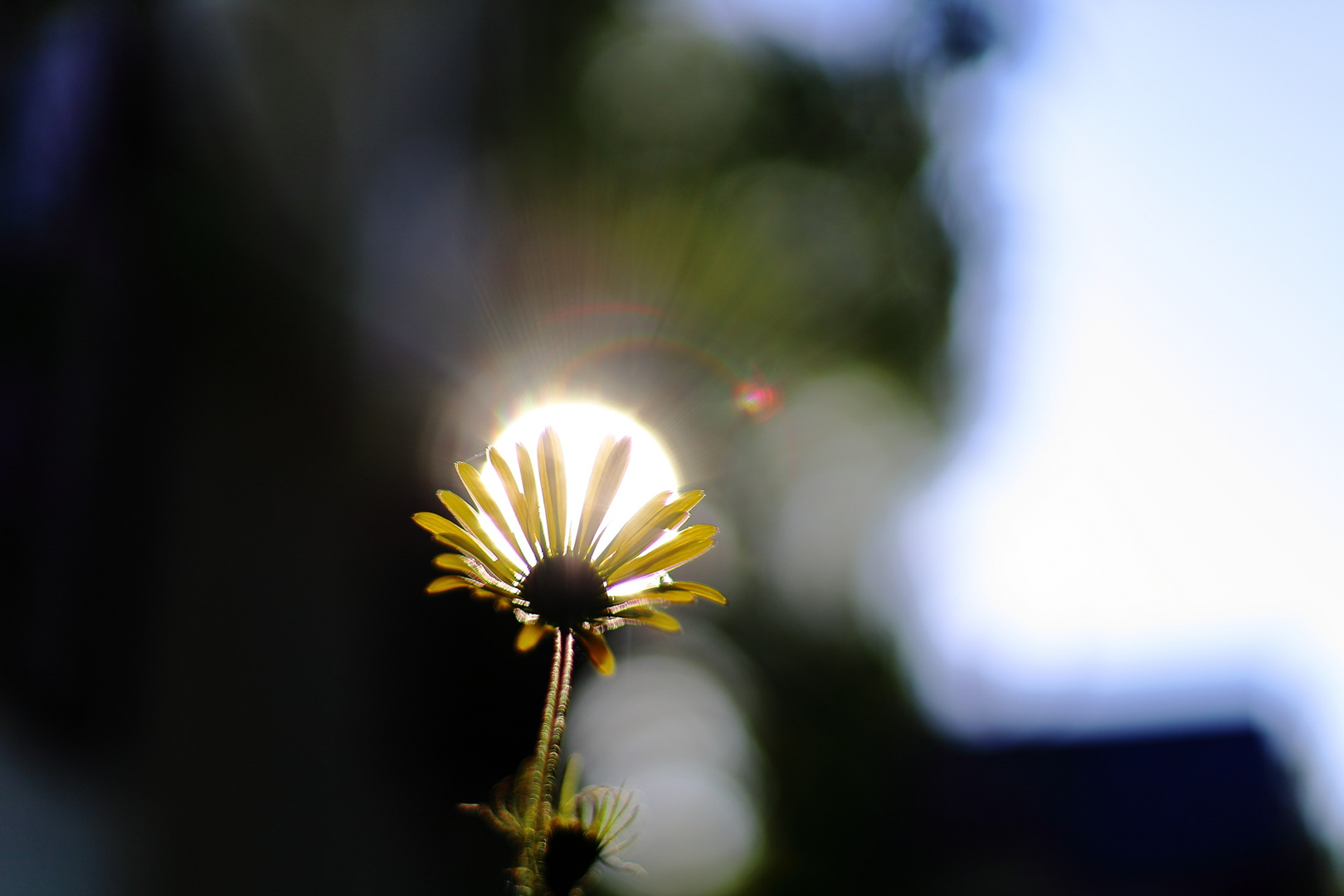 Sonnenenergie tanken