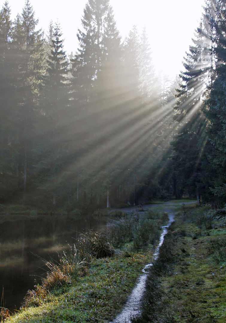 Sonnenfächer