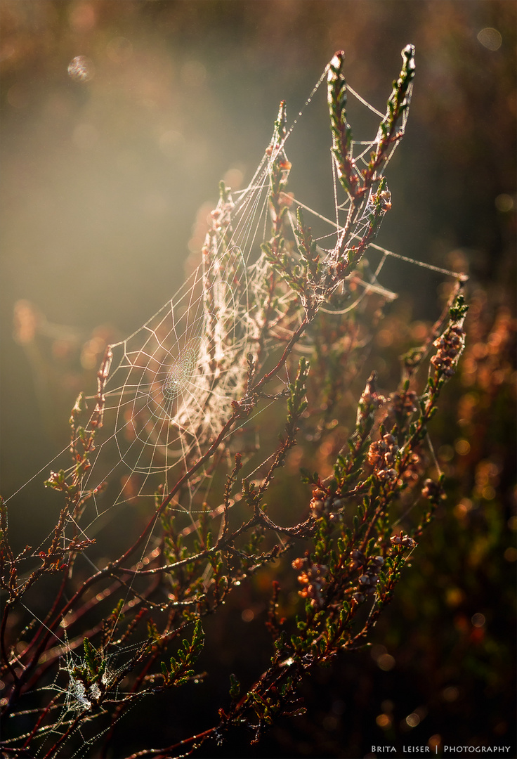 Sonnenfänger