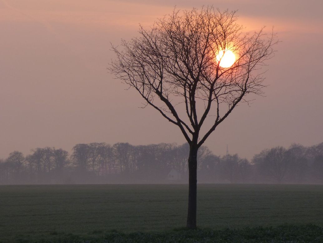 Sonnenfänger